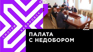 Хабаровские депутаты не могут найти две кандидатуры в Общественную палату