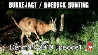 Bukkejagt/Roebuck hunting/Bockjagd 2019 episode 1.