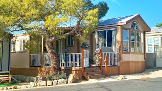 Amazing Modern Mango Tiny Home Living in Sky Valley Resort