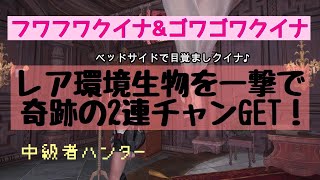 ［MHW］レア環境生物フワフワクイナとゴワゴワクイナを周回一切なし、2連チャンで一撃で捕獲した奇跡の動画✨【中級者ハンター・のっち】