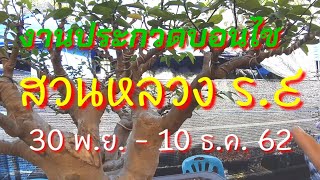 สุดยอดบอนไซ ; งานประกวดระดับชาติ สวนหลวงร.๙  วันที่ 30 พ.ย.-10 ธ.ค.ศกนี้,ตลาดต้นไม้เจ้าจอมร่มเกล้า