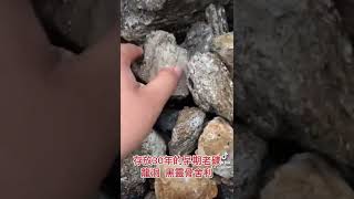 泰國龍宮舍利-30年早期老礦#龍洞黑靈骨舍利