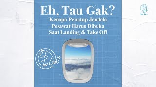 Eh, Tau Gak? Kenapa Penutup Jendela Pesawat Harus Dibuka Saat Landing Dan Take Off