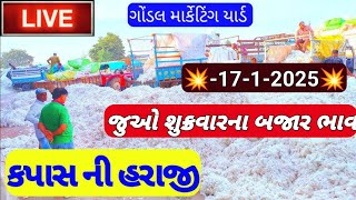 કપાસના બજાર  ભાવ / આજના કપાસના ભાવ /ગોંડલ માર્કેટિંગ યાર્ડ કપાસના બજાર ભાવ / 17.1.2025