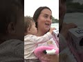 flamingos make stop at wisconsin beach stun onlookers