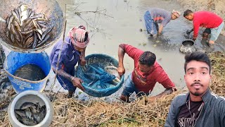 মাঠের মাঝখানের পুকুর নিলাম ৩০০০ টাকা দিয়ে। বড় বড় পাকা শোল আর কই মাছ পেলাম। @thesundarbans