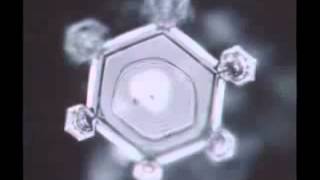 Living Water, Water Messages - Dr. Masaru Emoto