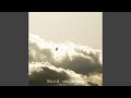 Bird on Wire