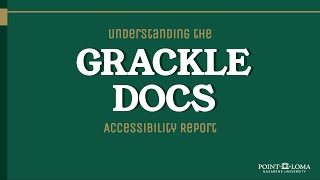Understanding the Grackle Docs Accessibility Report