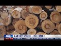 为什么会是新疆？时隔三年再“迎新”！详解新疆自由贸易试验区 cctv「新闻1 1」20231102