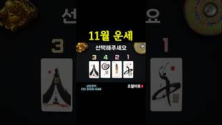 [타로운세] 11월의 종합 운세 #tarot #운세