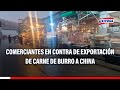 🔴🔵San Luis: Comerciantes en contra de exportación de carne de burro a China