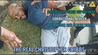 Cook County Corrections Officer Christopher Cribbs Arrested By Naperville Police Breakdown