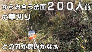 ツル草が桜に絡まないよう全力で草刈りをする②