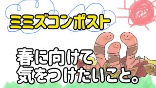 ミミズコンポスト春に向けて気を付けたいこと【ミミズ飼育・捨てない暮らし】