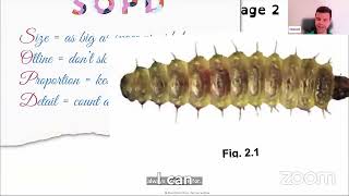 How to perfect biological drawings 🐛 for IGCSE Biology learn it from an expert!