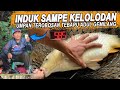 ADUL SAMPE KETETERAN NARIK IKAN PAKE UMPAN TEROBOSAN TERBARU !! IKAN RAME, IKAN INDUK MACOK PREND