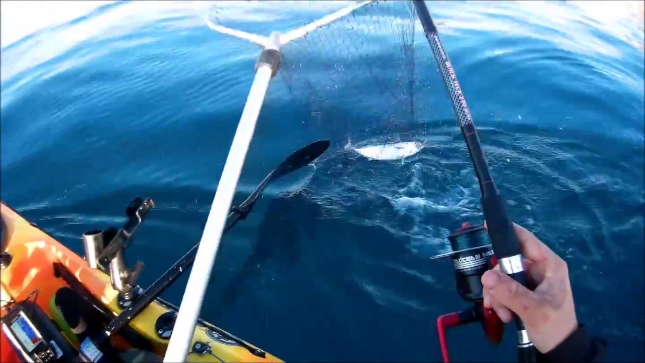 Alletterati A Traina Leggera Youtube