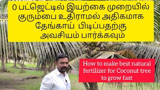 How to Put Fertilizer For Coconut tree | Natural Fertilizer | Organic Fertilizer For Coconut Tree