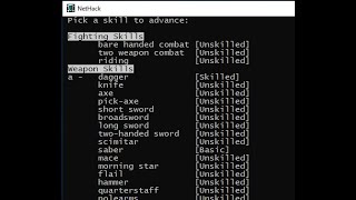 Concise Nethack: Training and Skill Slots