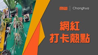 MW TRAVEL 美和旅遊 台灣 彰化田尾 菁芳園景觀餐廳