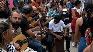 Santes Maries de la Mer | Gitani | Flamenco | S. Sara | tra le chitarre Mico Corapi