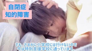 【自閉症×知的障害】健常児と遊べない／特別支援学校の二年生です☆