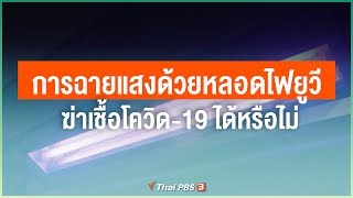 การฉายแสงด้วยหลอดไฟยูวี ฆ่าเชื้อโควิด-19 ได้หรือไม่