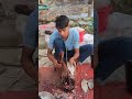 Amazing Big Telapia Fish Cutting Skills #fish #fishcutting #fishcuttingskill #youtubeshorts