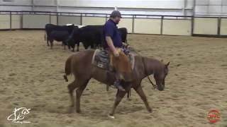 Grant Setnicka Working Futurity Colts April, 2020 at J Five Ranch in Weatherford, TX