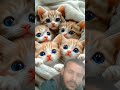 পড়া শুনলে মনটা জুড়িয়ে যায় cute cat kitten