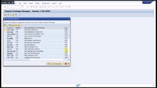 How to Apply SAP Support Package