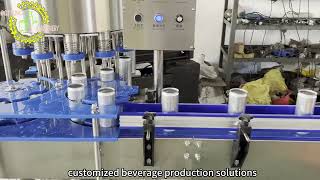 12-12-1 filling machine, 12-12-1 rinsing filling capping machine, 12-12-1 washing filling capping