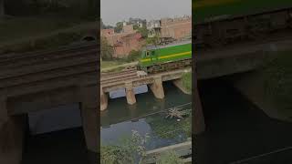 Cow Accident on Track by Train #Cow #Train #Accident #Track #Bridge #Water #River #Canal #Railway