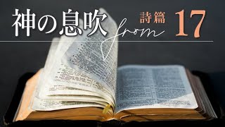 神が助けてくださる理由を、キリストの中に見つけに行け！詩篇17章