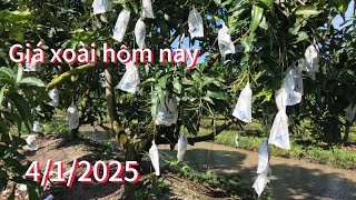 Giá xoài hôm nay ngày 4/1/2025