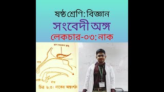 (০৩) ষষ্ঠ-শ্রেণি : বিজ্ঞান - সংবেদী অঙ্গ : নাক