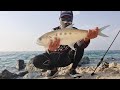 Malaking Queen Fish sa Ultralight Tackle