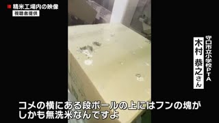 大阪・枚方市の給食向け精米工場にハトのフン 衛生上問題があるとして守口市教委は納入中止20220523(動物愛誤)(自然破壊)(アニマルホーダー)(鳥インフルエンザ)(クリプトコックス症)(オウム病)