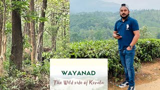 Wayanad wild life | muthanga | Wayanad heritage museum 🌿🍀🍃🍂