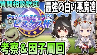 【ウマ娘】チャンミ考察＆因子周回！クリオグリより白キタサンのがやべえらしい！質問相談歓迎【田中くぅすけ】#ウマ娘プリティーダービー