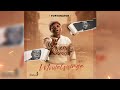 Fortunator - Joy (Official Audio) feat. DJ Gun Do SA