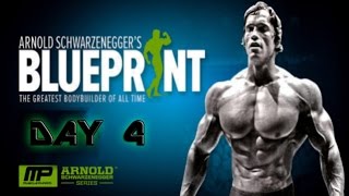Arnold's Blueprint Cut Day 4 Chest & Back