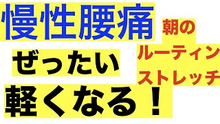 この腰痛ストレッチを、あなたのルーティンワークにするべき理由【とにかく実践するべきです】