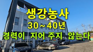 생강농사30~40년 경력이  지어 주지  않는다