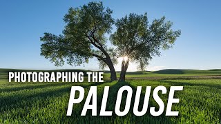 Photographing the Palouse with Sony Lenses