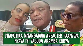 🟨Chaputika - Mnangagwa aReacter paanzwa nyaya iyi yabuda aramba kudya🇿🇼