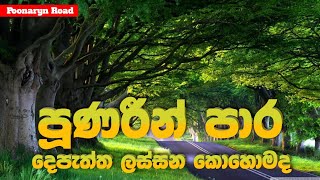 පූණරීන් පාර දෙපැත්ත කොහොමද ලස්සන | How beautiful are both sides of Poonaryn Road