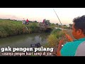 sangat melimpah‼️ternyata warga sini gak ada yang suka mancing