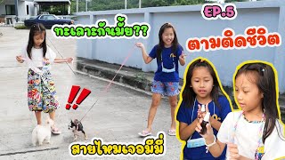 ตามติดชีวิต ดีไซน์กับเกลลี่ เจอกัน 7 วันติด จะทะเลาะกันมั้ย?? EP. 5 | ดีไซน์พาสายไหมไปหามีมี่ด้วย